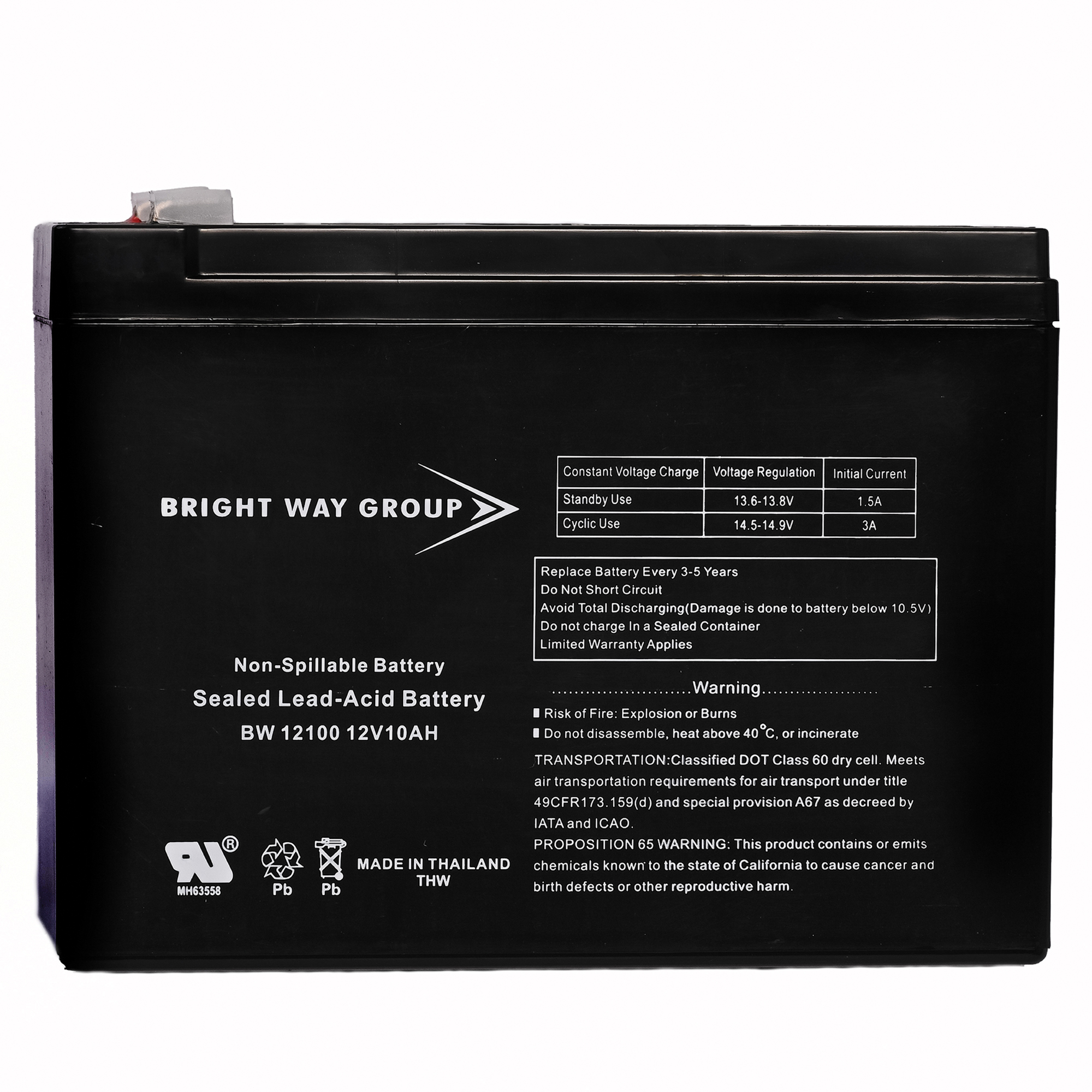 Bright Way Group Sealed Lead Acid Battery — 12V, 10Ah, Rechargeable, Model# BW 12100 F2
